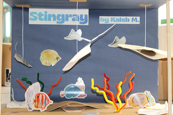 A shoebox diorama about the stingray