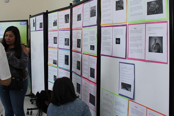 A display of student projects