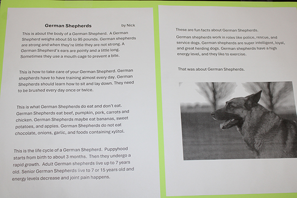 A student's project about German Shepherds