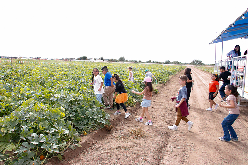 Students head out into the pumpkin patch