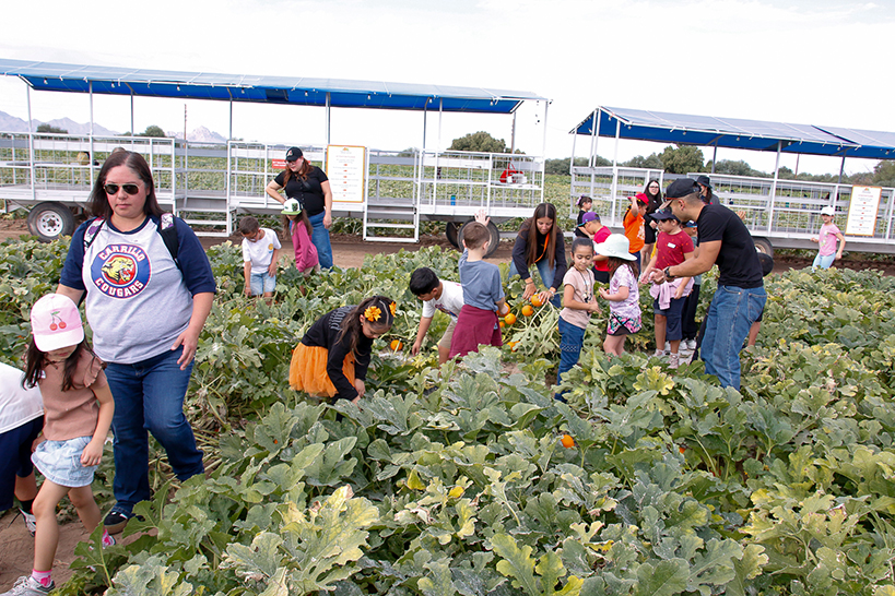 Students and chaperones explore in the pumpkin patch