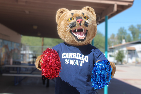 A person in a cougar mascot costume holds up red and blue pom poms